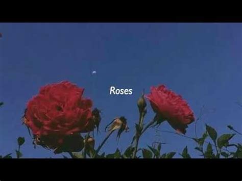 roses song lyrics 1 hour juice world