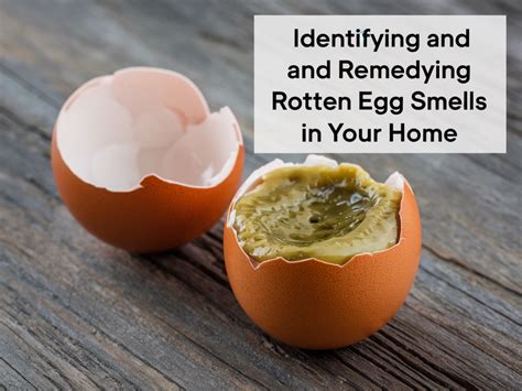 Incredible Rotten Egg Smell In Bedroom Ideas