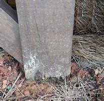 Rotting deck posts