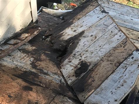 How to Prevent Roof Rot with These Simple Tips Nelson Contracting LLC