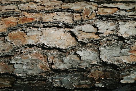 Rough Texture Art Examples