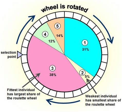 Roulette Wheel Selection Algorithm