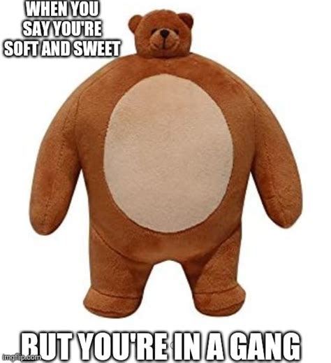 80 Best Bear Meme Meme Central