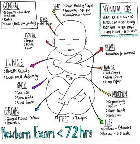 Routine Newborn Examination