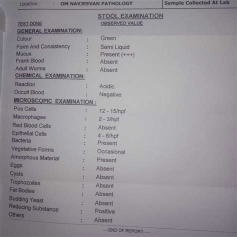 routine stool examination report format