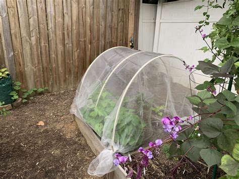 Row Cover Hoops Diy