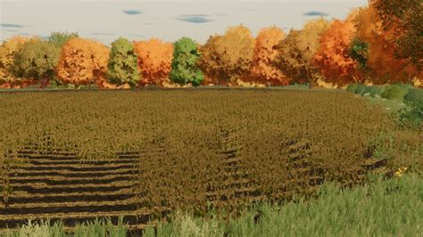 Row Crop Ready Maps Fs22