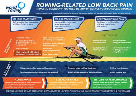 Rower For Back Pain