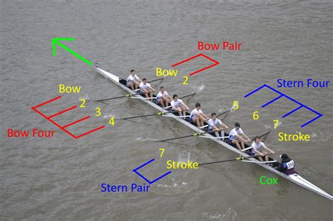 rowing boat meaning in english