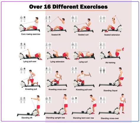 rowing exercise program for strength