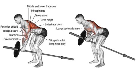 Rowing For Lats