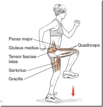 Rowing Hip Flexors