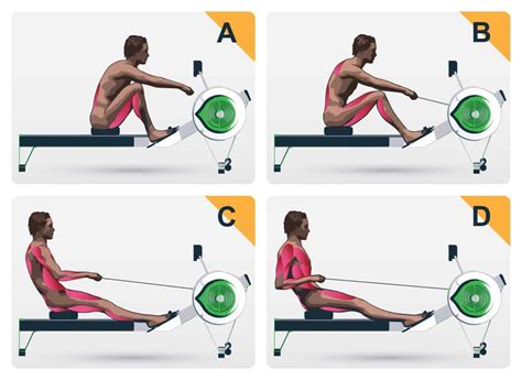 Rowing Machine Arm Position