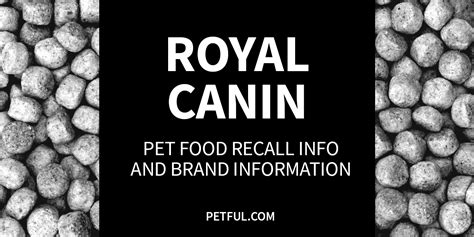 Royal Canin Dog Food Review 2021 Recalls, Pros & Cons Doggie Designer