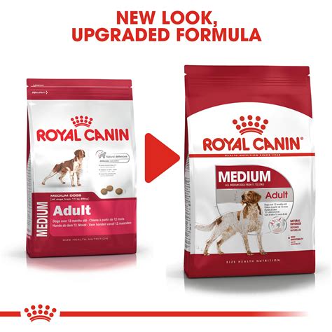 royal canin dog food order online