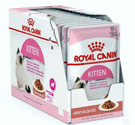 The Benefits Of Feeding Your Kitten Royal Canin