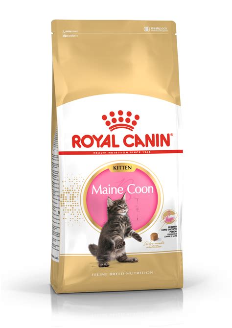 royal canin maine coon kitten food dry