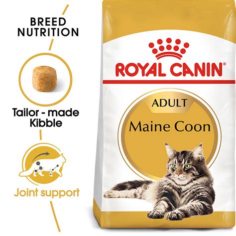 royal canin maine coon kitten food price