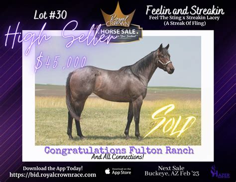 royal crown stallion auction