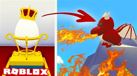 royal egg in roblox