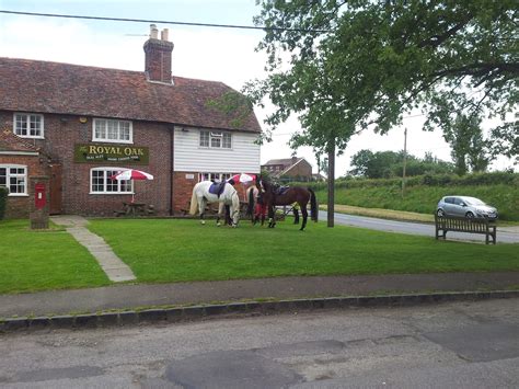 royal oak pub pett