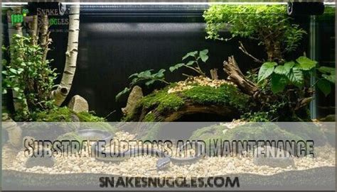 Royal Python Substrate Options