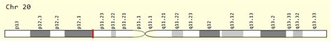 rrbp1 gene