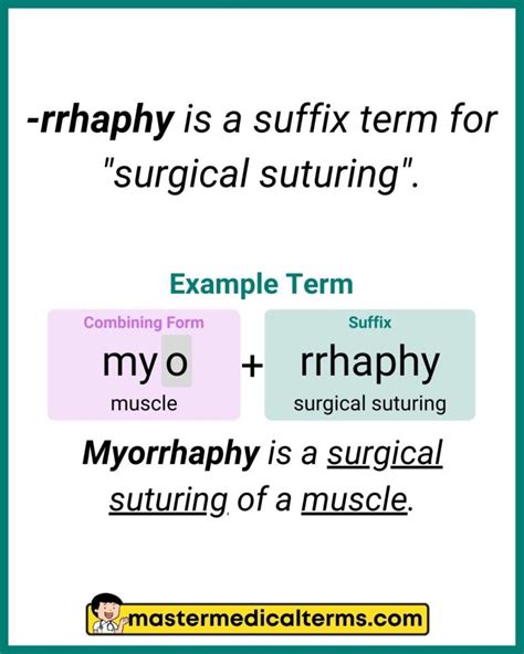 rrhaphy med term