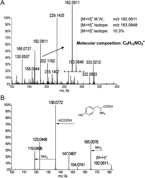 rrlc-ms/ms