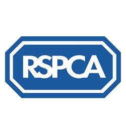 rspca southampton phone number