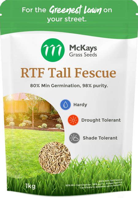 rtf grass seed