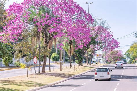 ruas de campo grande ms