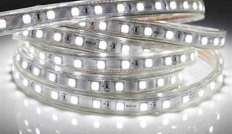 Ruban LED 14,4 Watts /m Blanc Ro. Boutique Officielle
