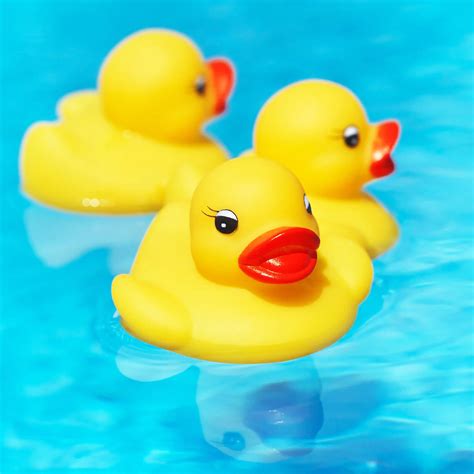 rubber duck floating in water
