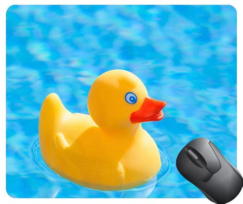 rubber duck floating in water