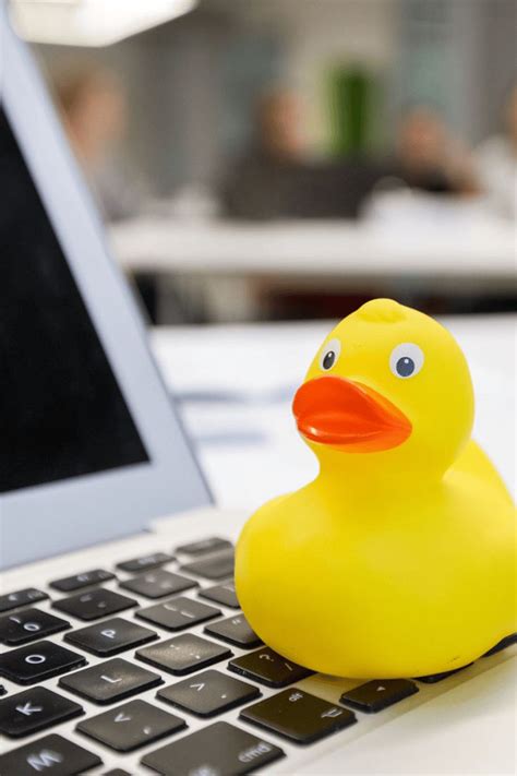 Rubber Ducks In Programming