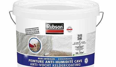 Rubson Anti Humidite Peinture humidité Cave 5l Hubo