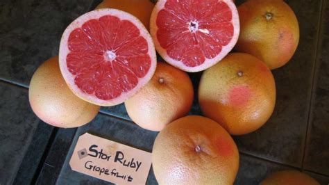 Ruby Red Vs Star Ruby Grapefruit