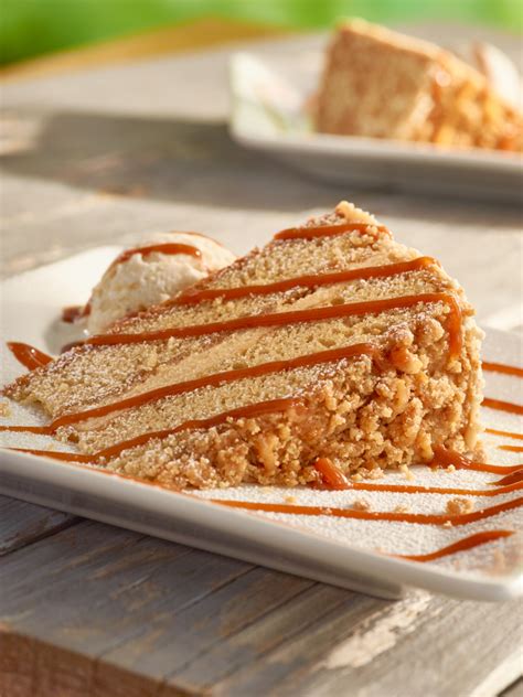 no churn caramel crunch ice cream Recipe Caramel crunch, Frozen dessert recipe, Fancy ice cream