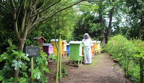 Parrainez des abeilles