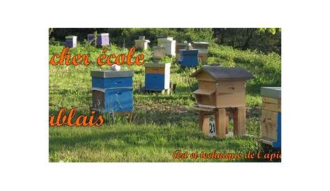 Le rucher école | Syndicat Apicole de la Charente