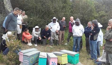 Rucher Ecole : l’apiculture de loisirs pour tous - Ville de Saint-Raphaël