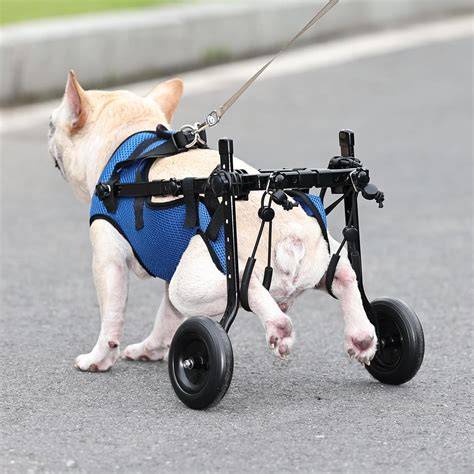 Ajustable Para Mascotas Silla De Ruedas Para Perros,ruedas Animales y