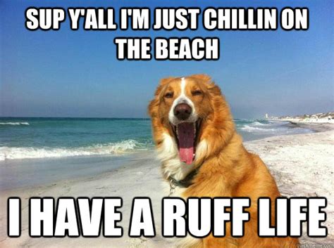 Ruff Life Meme