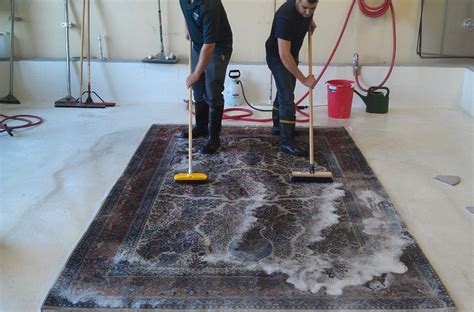 rug cleaning services