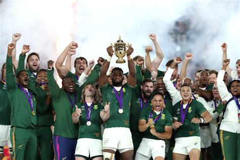 rugby world cup springboks 2023