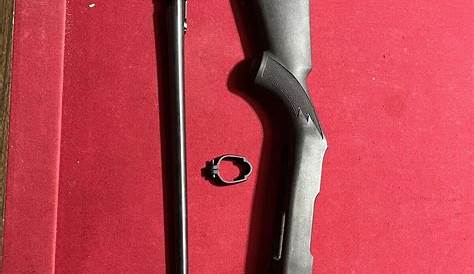 Ruger 10/22 Factory Barrel