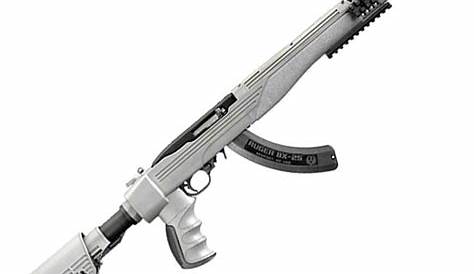 Ruger 10/22 Grey Synthetic Semi-Auto Rifle, .22LR *Cannot ship outside