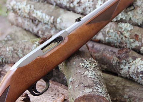 Ruger 10 22 Birch Stock