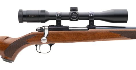 Ruger Rifle 22 Hornet Rg4204